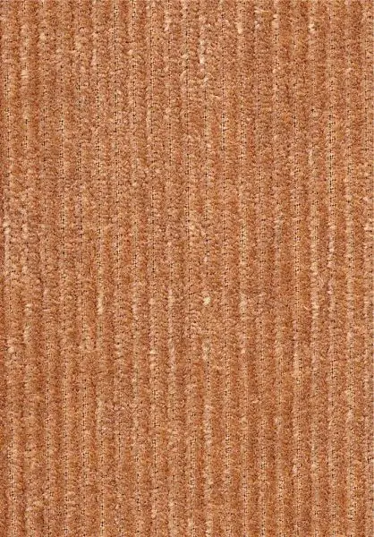 Lush Tinneroy 29501