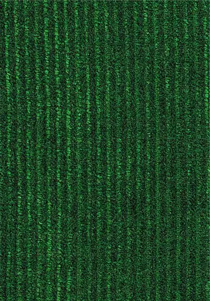 Lush Tinneroy 29502