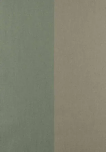 Les Rayures Grande Stripe 30009 Olive et Artichaut