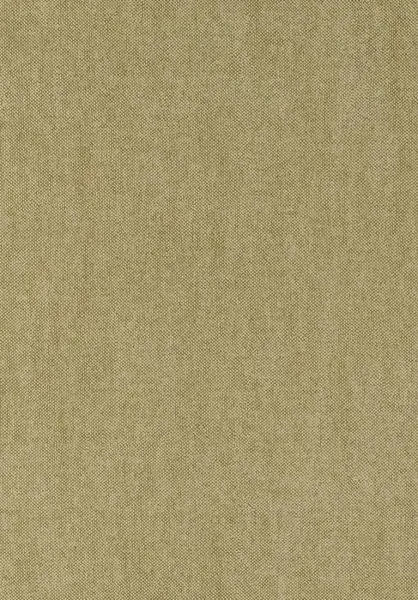 Velvet Lin 18201 Artichaut