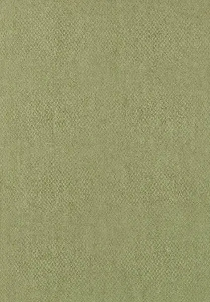 Les Rayures Lin 30108 Olive