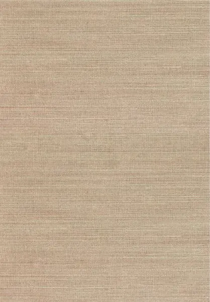 Natural Wallcoverings III 303513