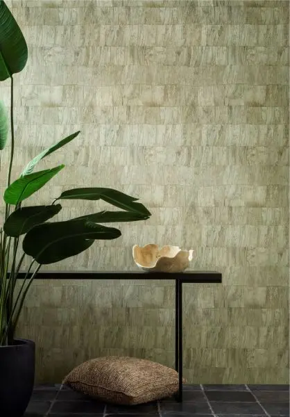 Selva Capas 34304