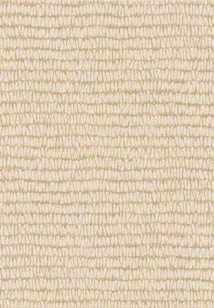 Maize 363340 natur