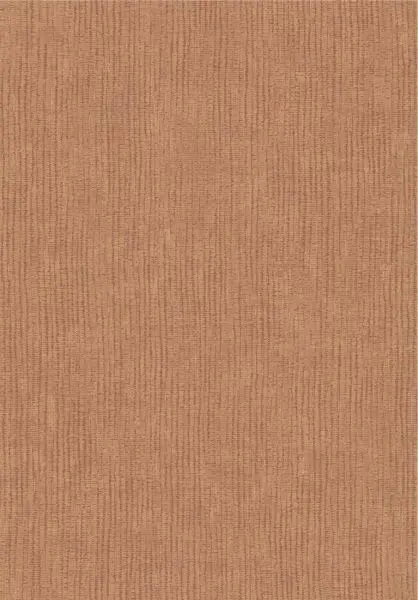 Ridge 363367 orange