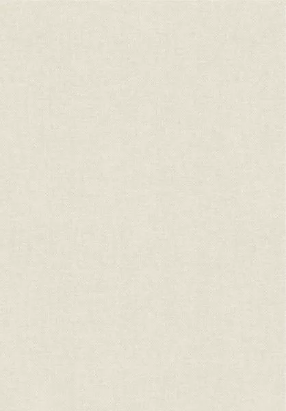 Lin 40004B Bone