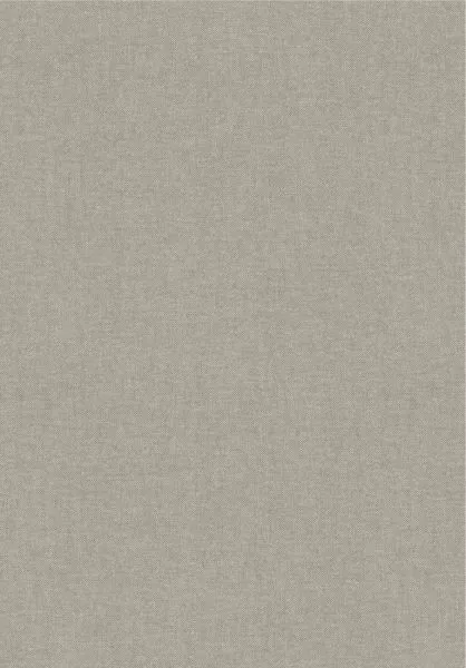 Lin 40005B Flax