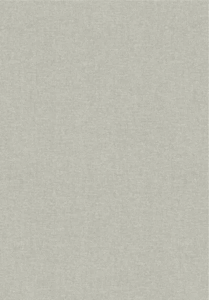 Lin 40018B Smoke