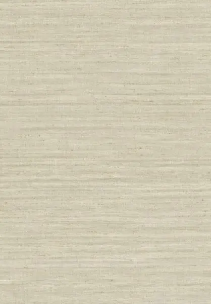 Lignes 40500