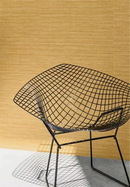 Lignes 40501 Ochre