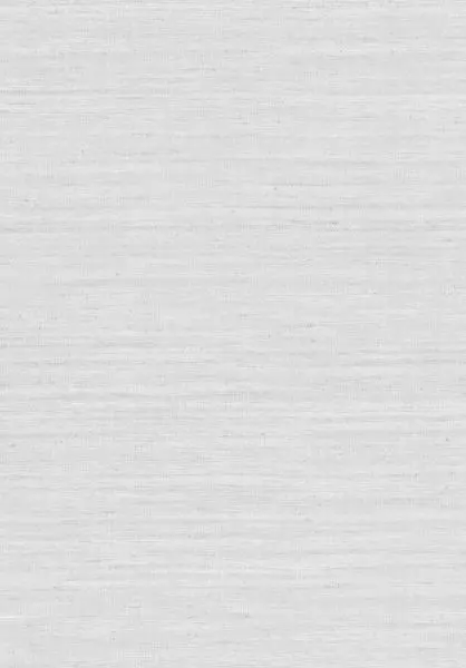 Lignes 40504