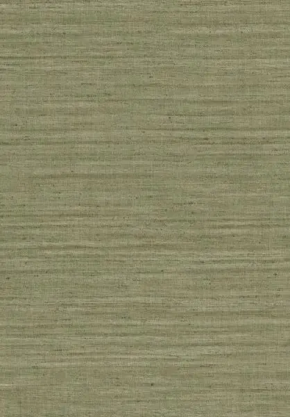 Lignes 40505