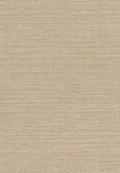 Lignes 40506