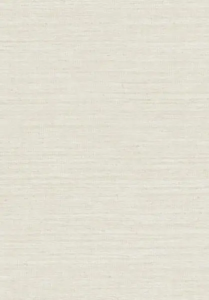 Lignes 40507