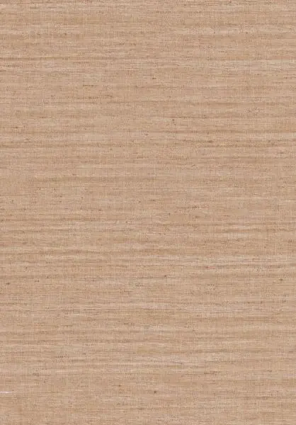 Lignes 40508