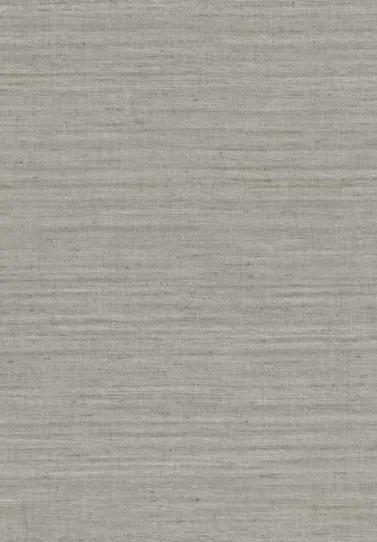 Lignes 40513
