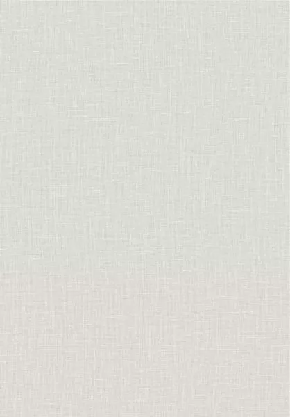 Gioco 40523 Ash
