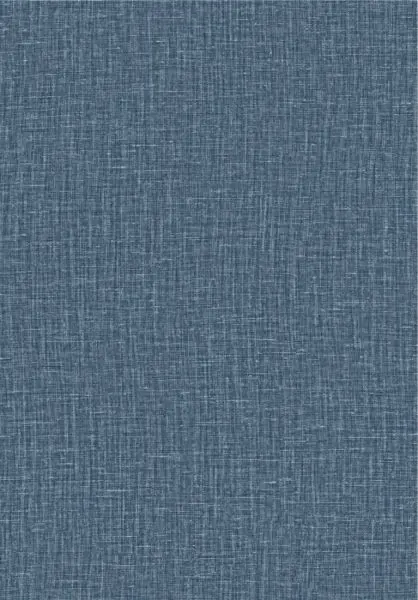 Gioco 40524 Jeans
