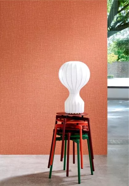 Gioco 40529 Ginger