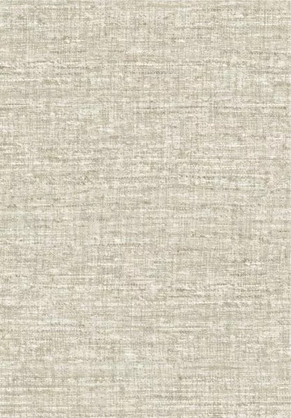 Aspero 40545 Mushroom