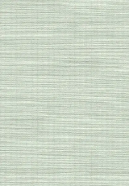 Cantala Craft 48508