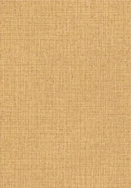 Gitane Nongo 49513 Straw