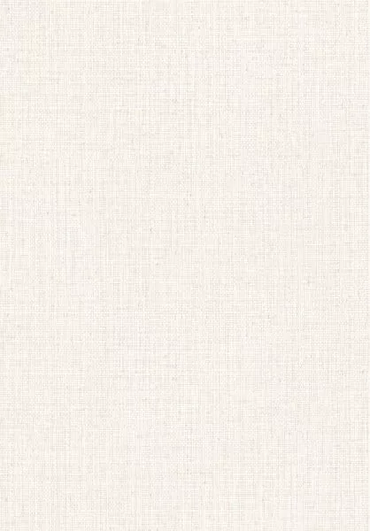 Nongo 49515 Ultra White