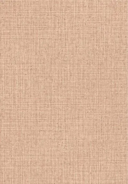 Gitane Nongo 49516 Vintage Blush