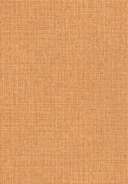 Gitane Nongo 49518 Amber