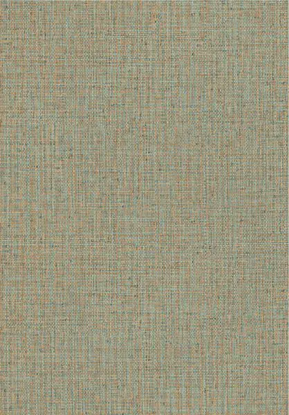 Gitane Nongo 49519 Blue Orange