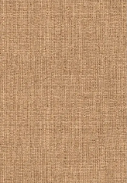 Gitane Nongo 49523 Basket