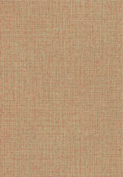 Gitane Nongo 49524 Pistachio Pink