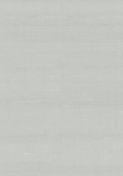 Latus 50505