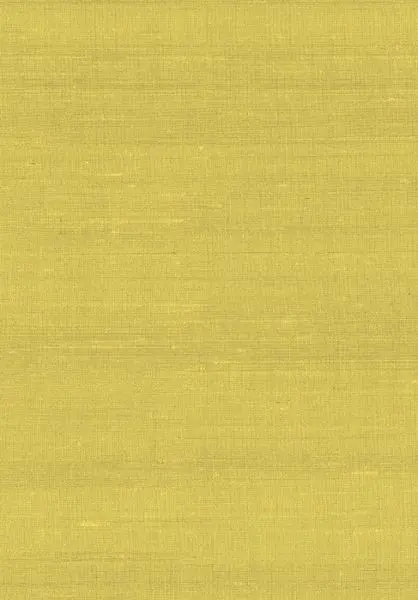 Latus 50507