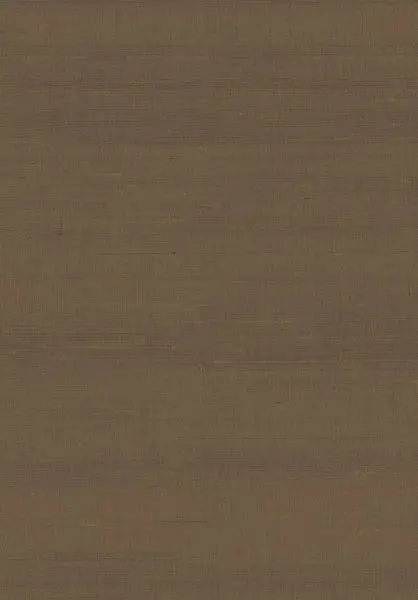 Latus 50508 Chocolate