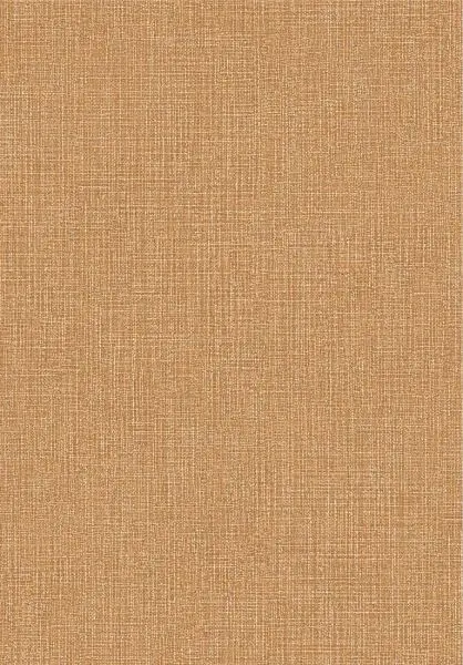 Essentials Tela 57509 Ginger Orange
