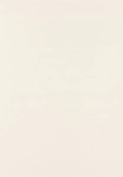 Papillon 58549 Cloth