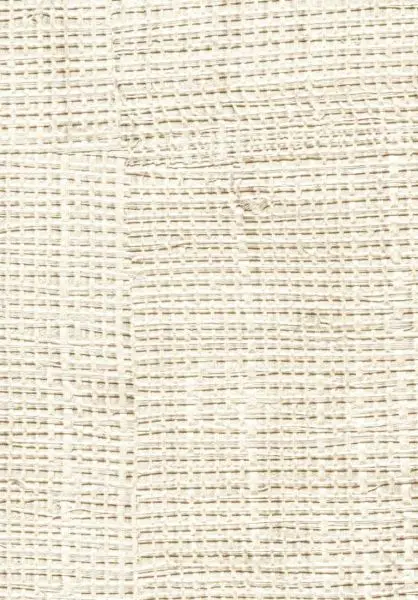 Raffia VP601 02