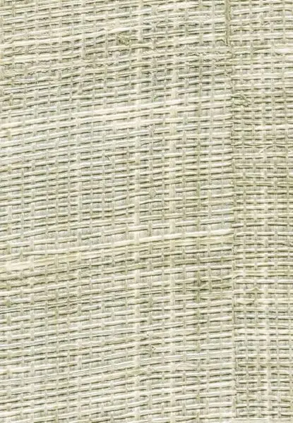 Raffia VP601 10