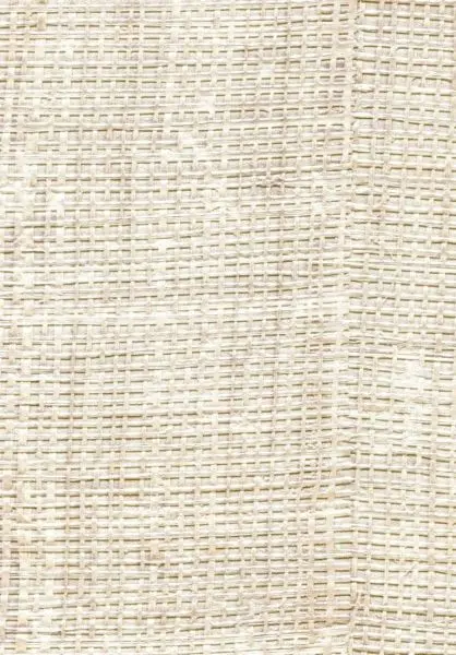 Raffia VP601 55