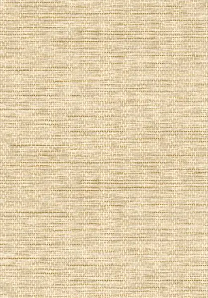 Essentials L'Invité Le Papier Tissé 60501 Honey