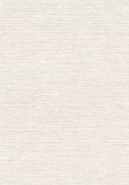 Essentials L'Invité Le Papier Tissé 60502 Bone