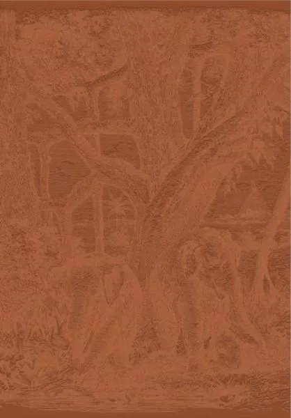 Maximus 71580202 Terracotta