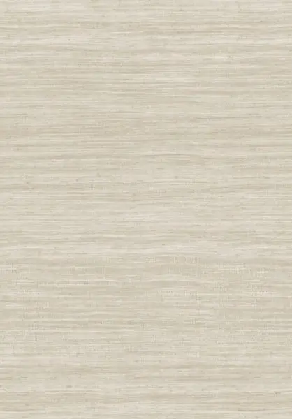 Tasar 72021 Silver Sand