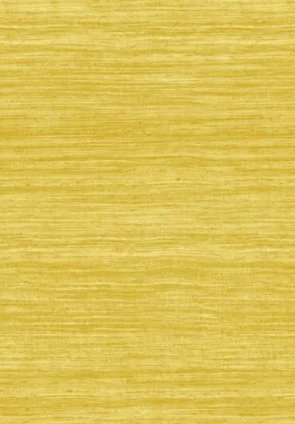 Tasar 72029