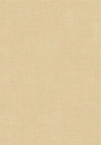 Essentials Tulle 73080 Sand