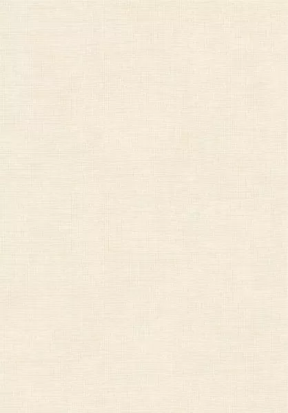 Tulle 73083A Cream