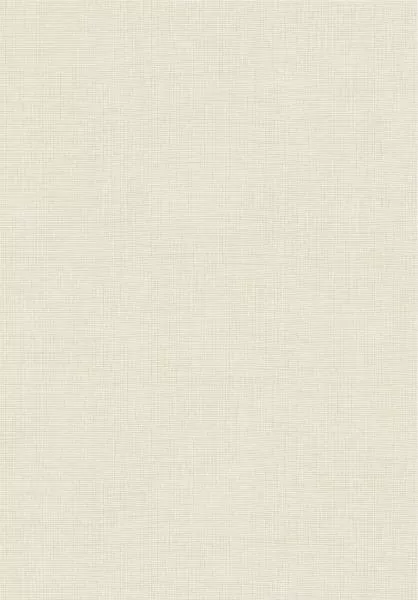 Tulle 73084A Bone
