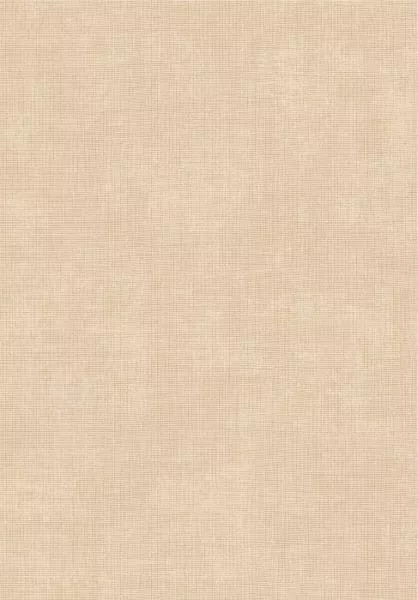 Tulle 73089A Nude