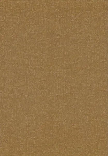 Roseau 75133984 Ambre